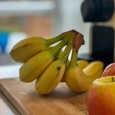Strandpark-grossenbrode-haus-moewennest-wohnung-2 *